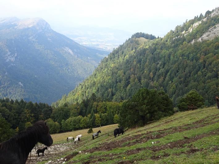 Sur la montagne d'Etoilette