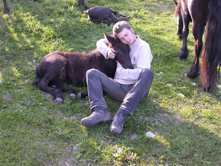 Un petit calin à un poulain Mérens